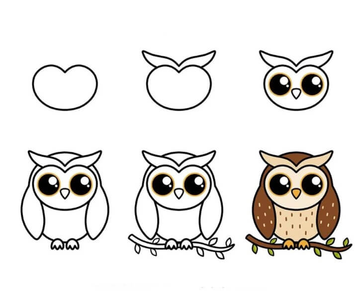 How to draw Owl idea (1)