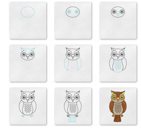 How to draw Owl idea (12)