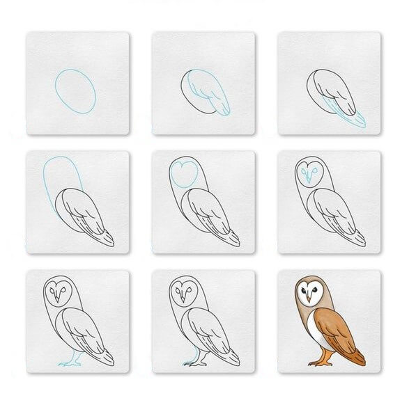 Owl idea (14) Drawing Ideas