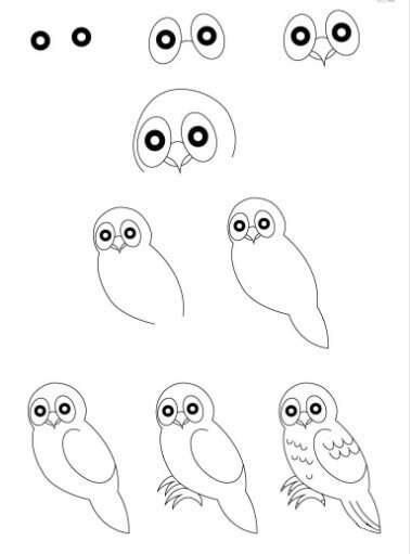 How to draw Owl idea (3)
