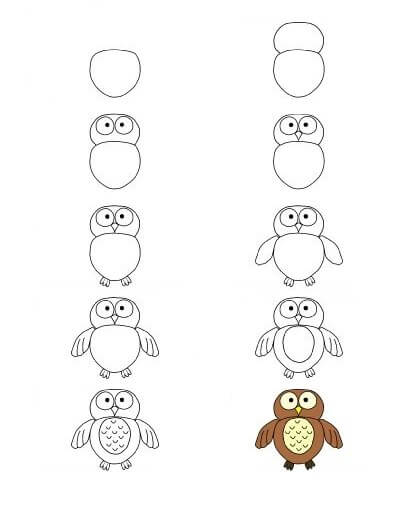How to draw Owl idea (36)