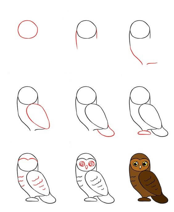How to draw Owl idea (39)