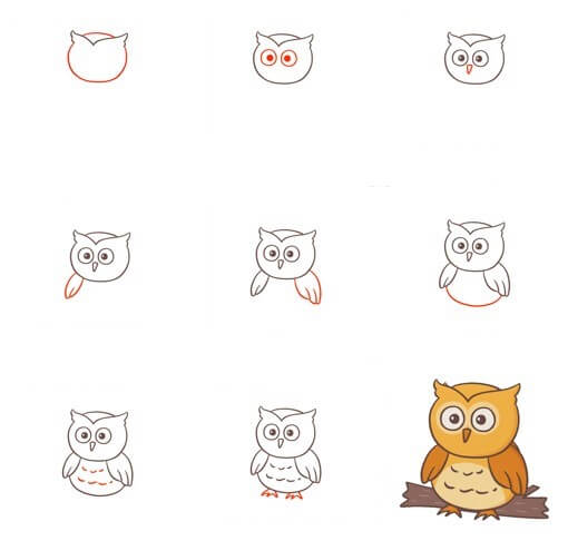 How to draw Owl idea (4)