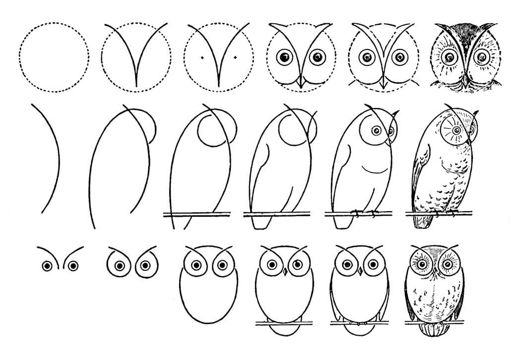Owl idea (40) Drawing Ideas