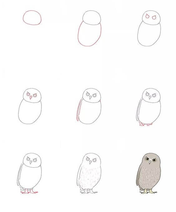 How to draw Owl idea (42)
