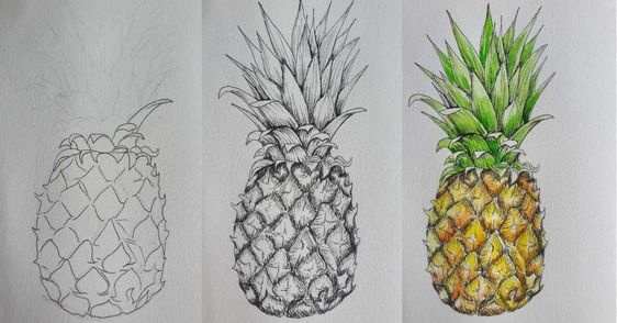 How to draw Pineapple idea (14)