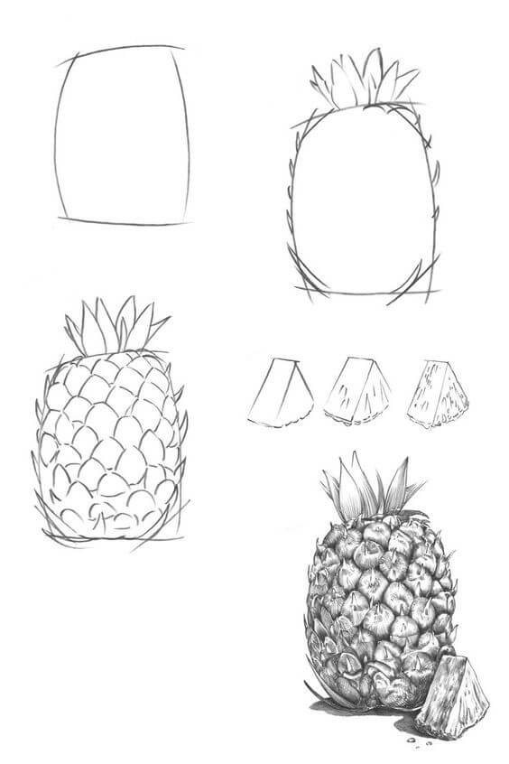 Pineapple idea (18) Drawing Ideas