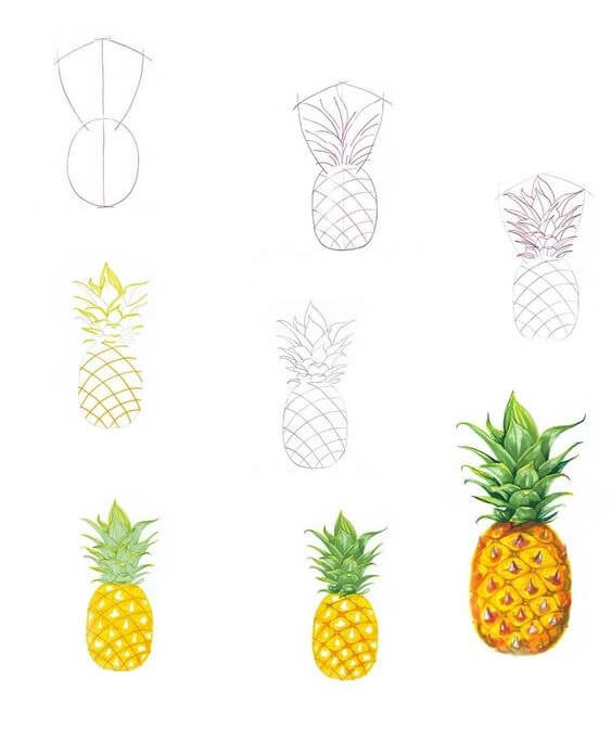 Pineapple idea (29) Drawing Ideas