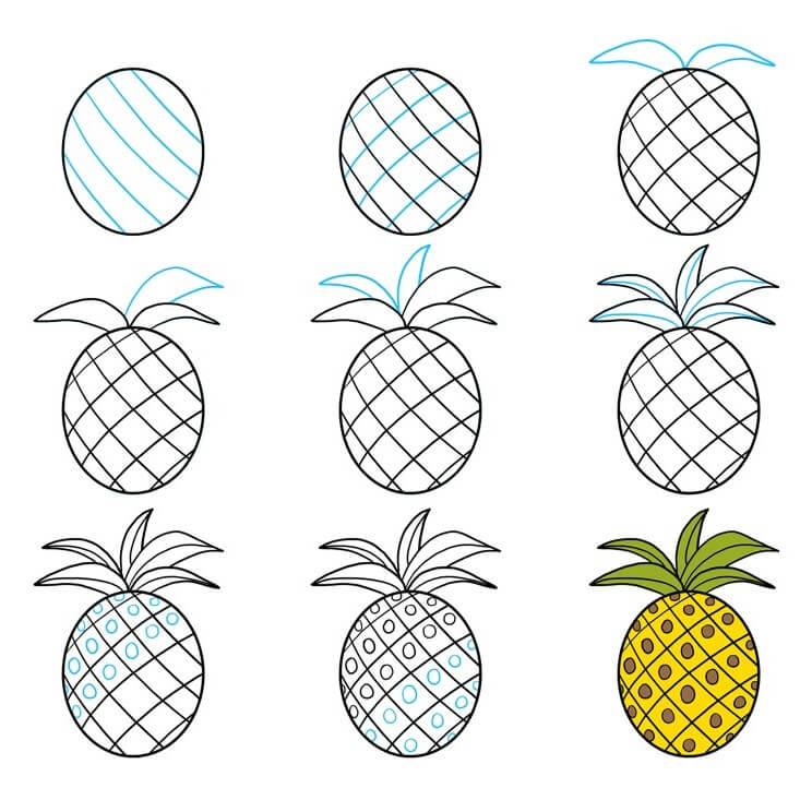 Pineapple Drawing Ideas