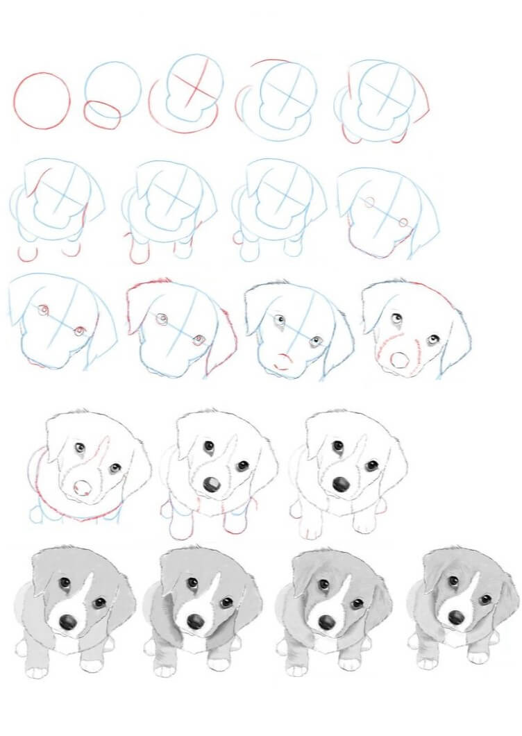 Puppy idea (25) Drawing Ideas