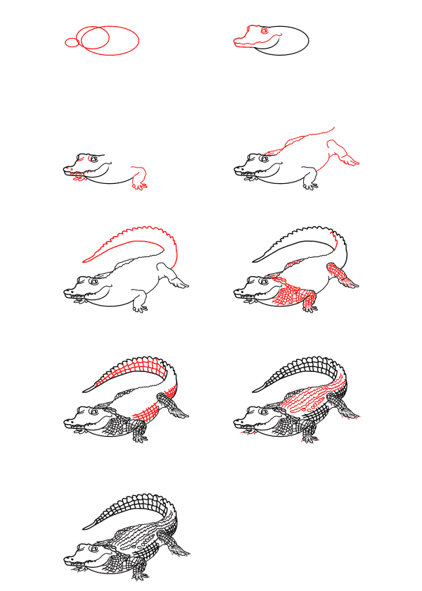 Realistic alligator Drawing Ideas