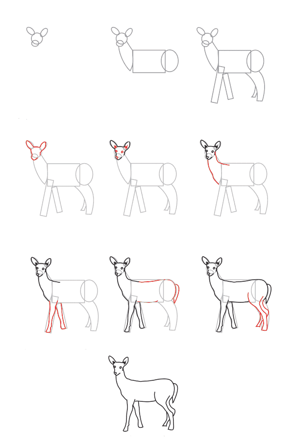 Realistic Deer (1) Drawing Ideas