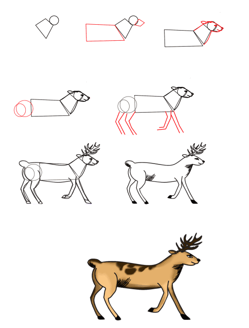 Realistic Deer (2) Drawing Ideas