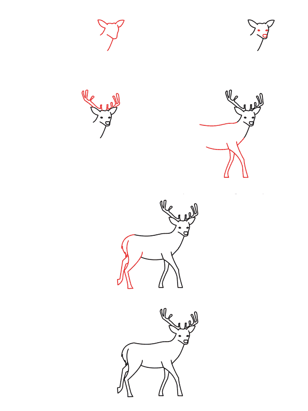 Realistic Deer (4) Drawing Ideas