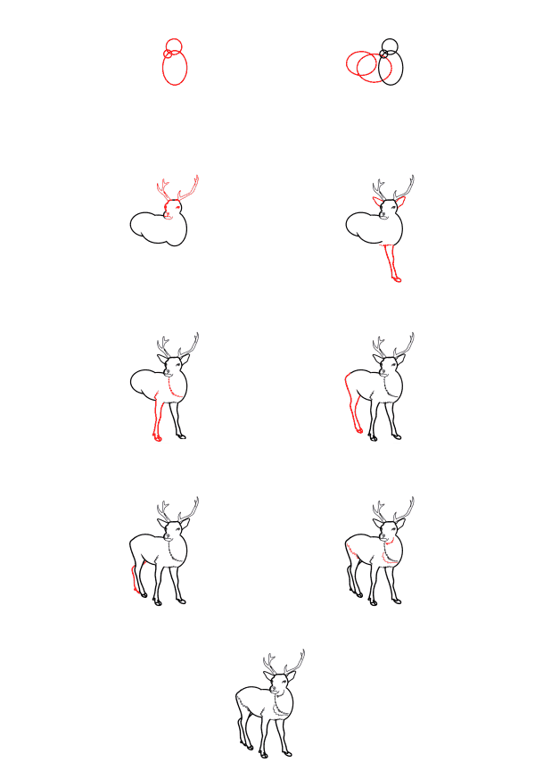 Realistic Deer (6) Drawing Ideas