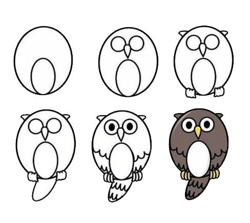 Round owl (3) Drawing Ideas