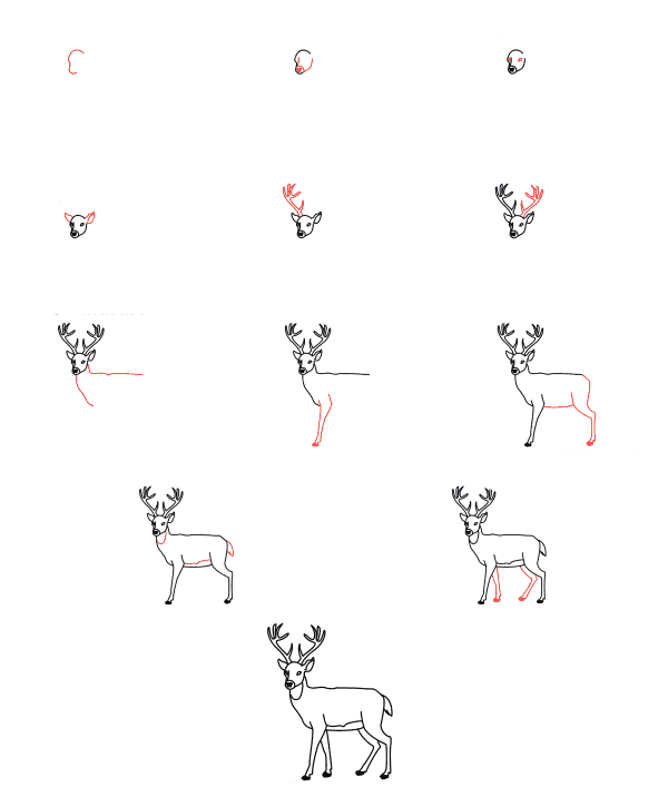 Scared deer (1) Drawing Ideas