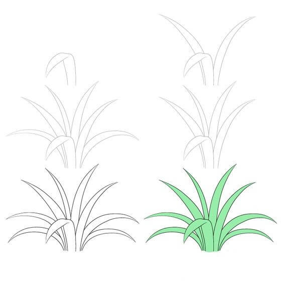 How to draw Weeds (1)