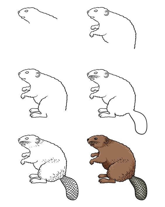 Beaver idea (10) Drawing Ideas