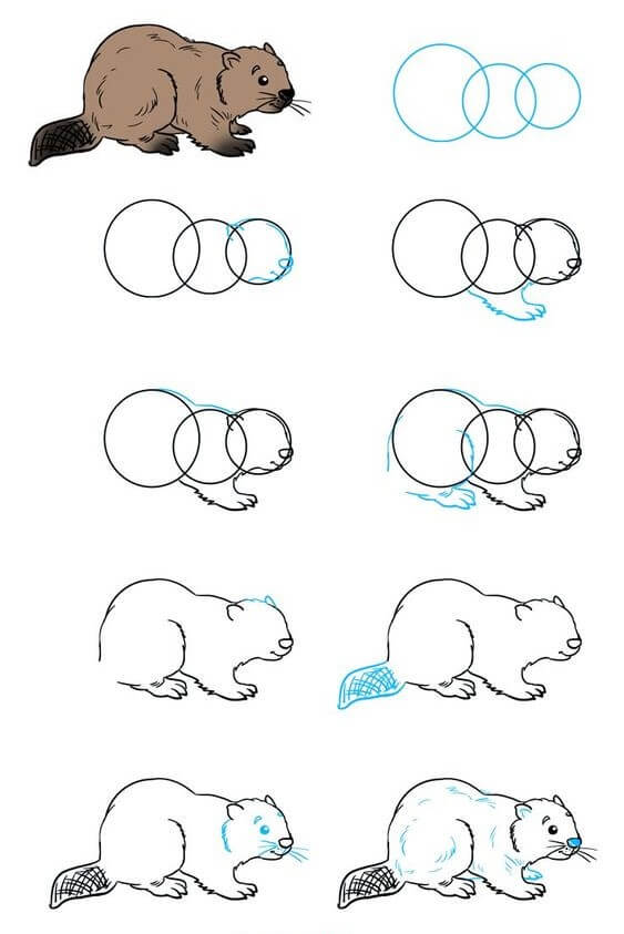 How to draw Beaver idea (13)