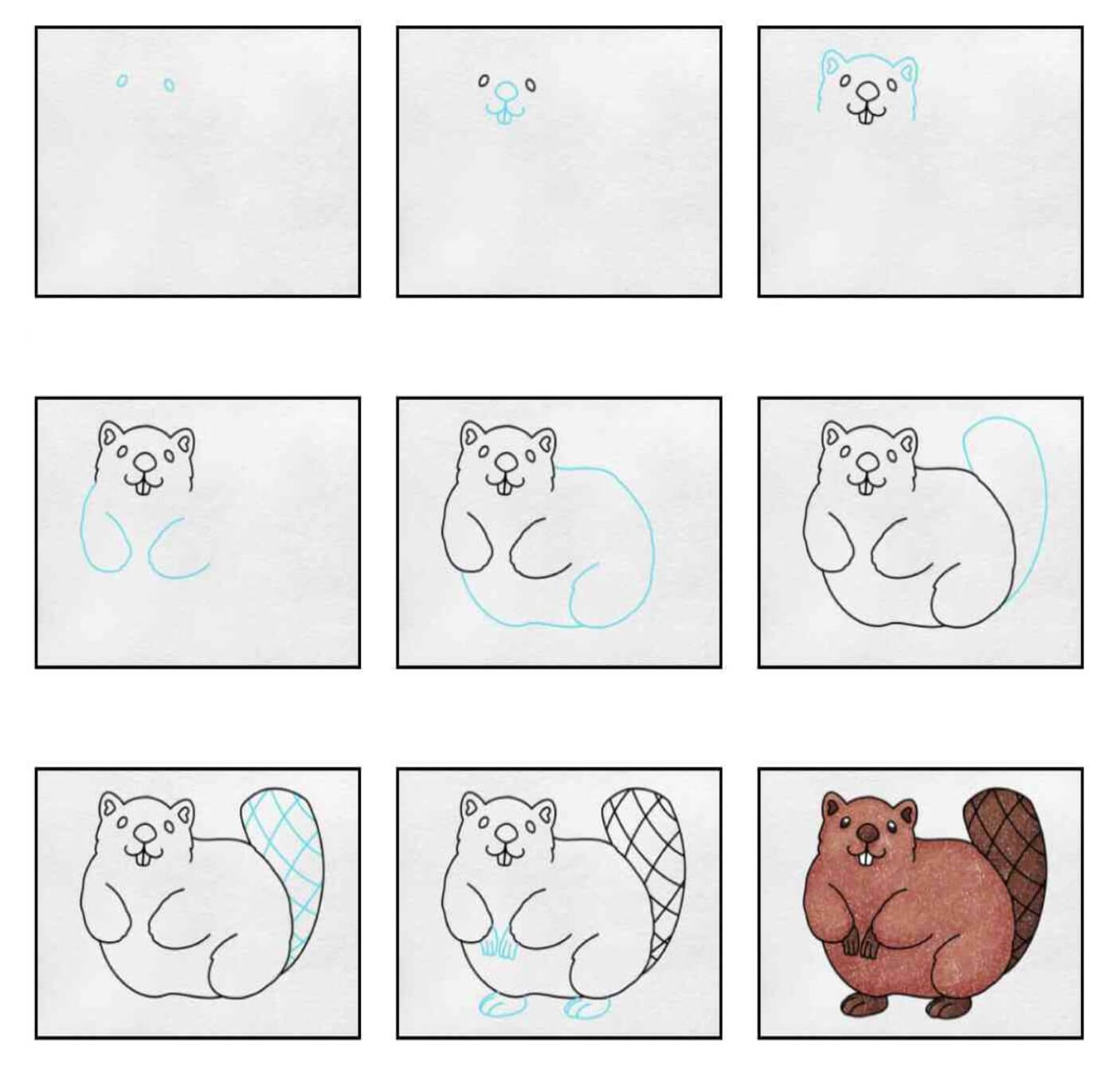 How to draw Beaver idea (15)