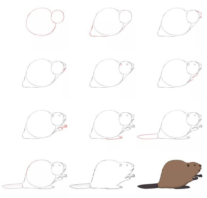 How to draw Beaver idea (19)