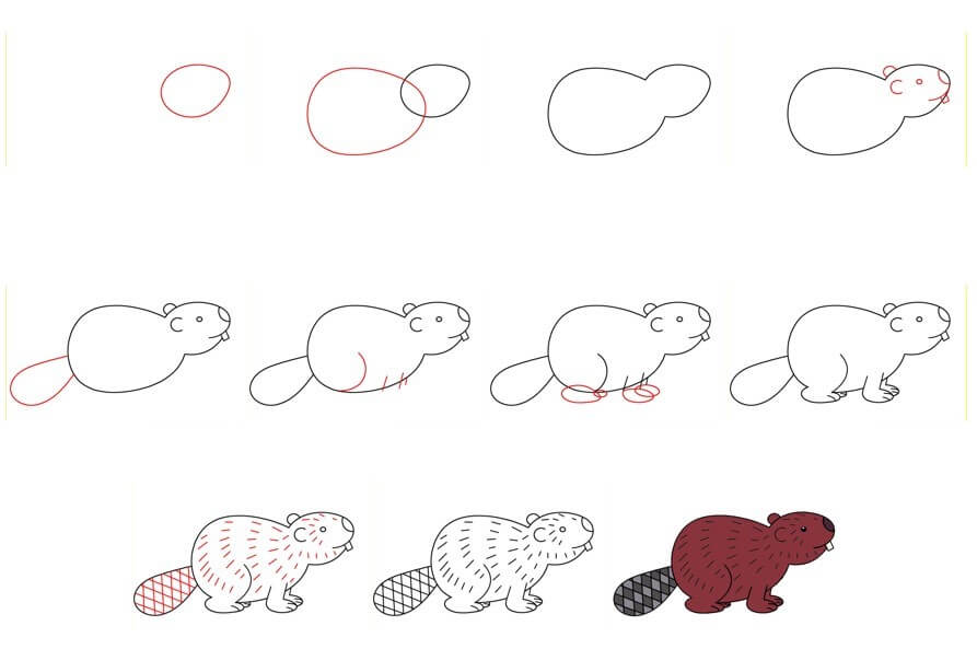 How to draw Beaver idea (21)