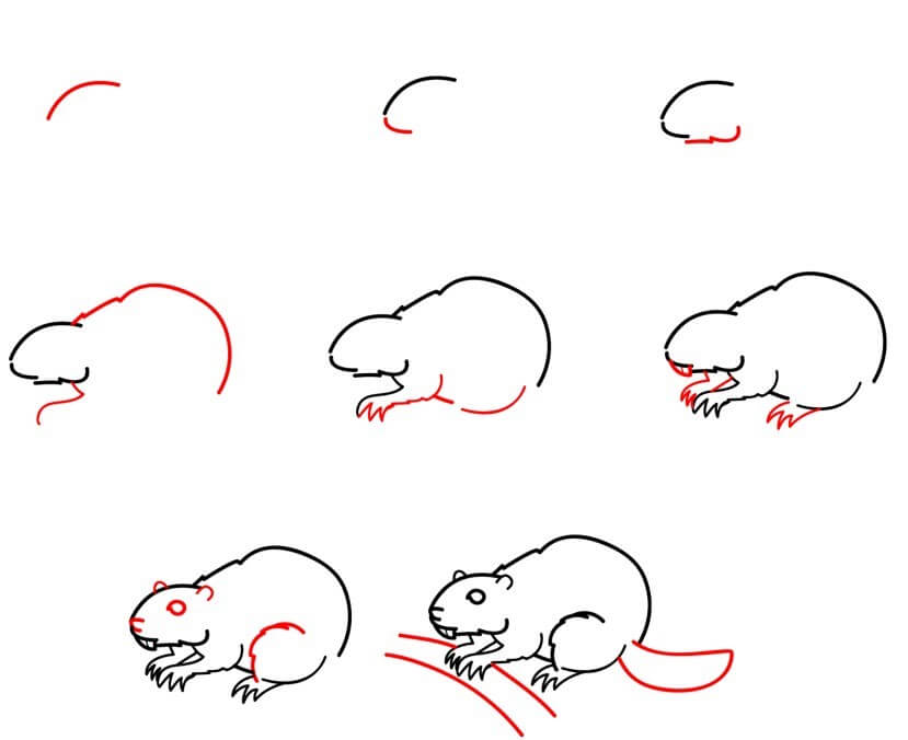 How to draw Beaver idea (22)