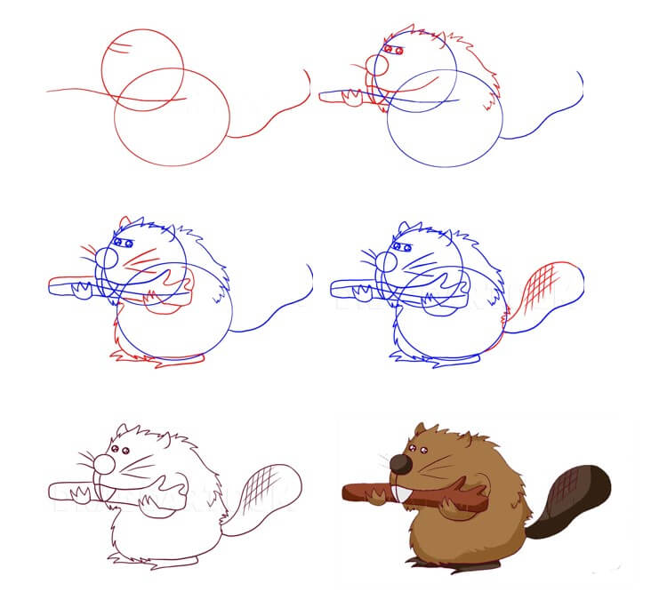 How to draw Beaver idea (23)