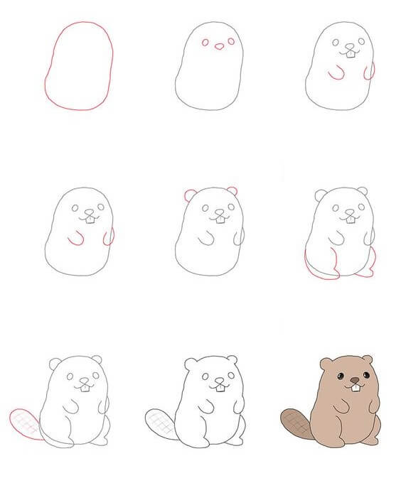 How to draw Beaver idea (4)