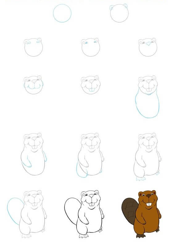 How to draw Beaver idea (5)