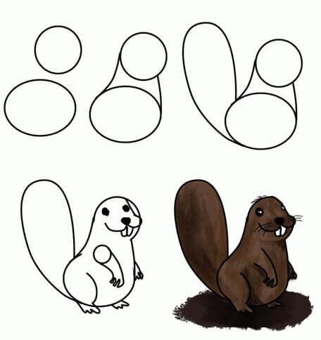 How to draw Beaver idea (6)