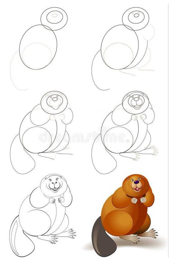 How to draw Beaver idea (7)