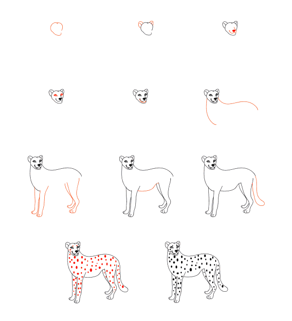 Cartoon cheetah Drawing Ideas