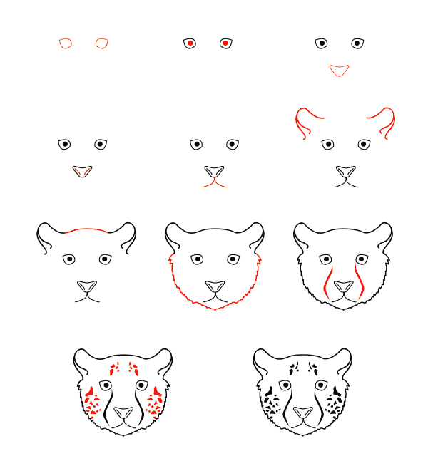 Cheetah face Drawing Ideas