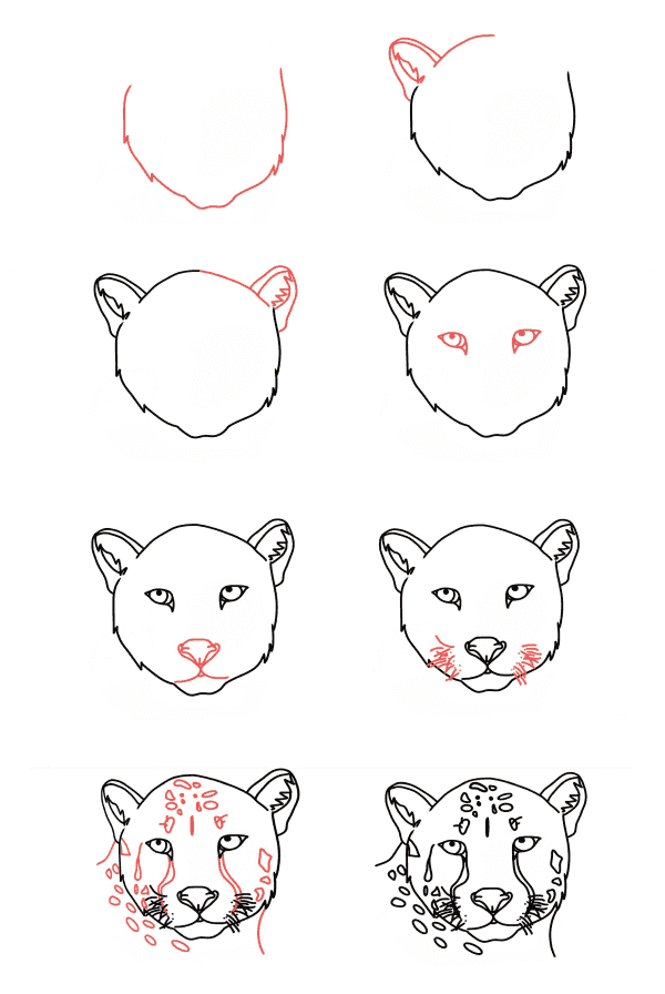 How to draw Cheetah head