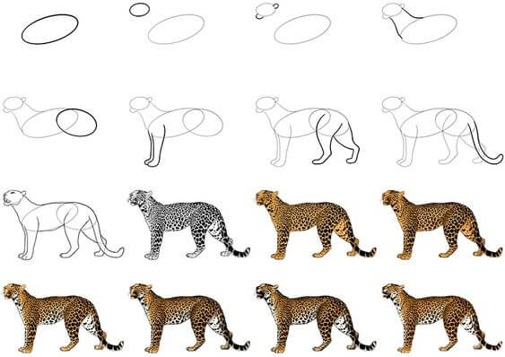 Cheetah idea (1) Drawing Ideas