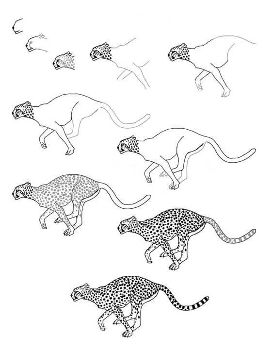 How to draw Cheetah idea (11)