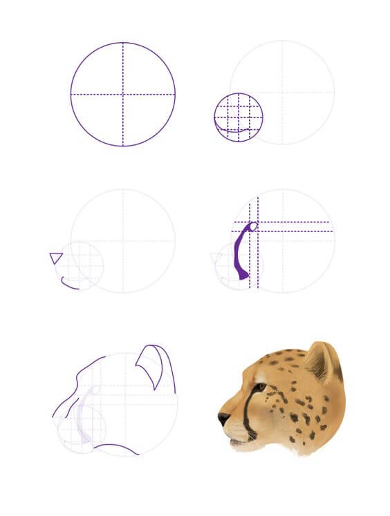 Cheetah idea (12) Drawing Ideas