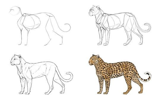 Cheetah idea (17) Drawing Ideas