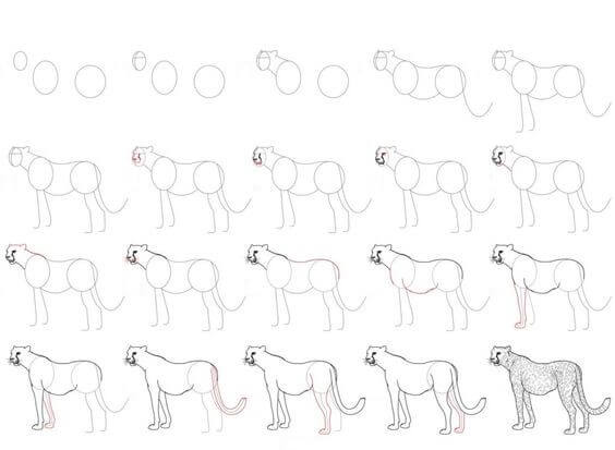 How to draw Cheetah idea (20)