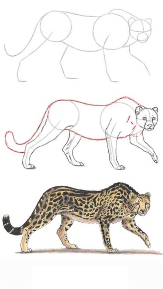 Cheetah idea (22) Drawing Ideas