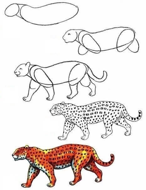 Cheetah idea (23) Drawing Ideas