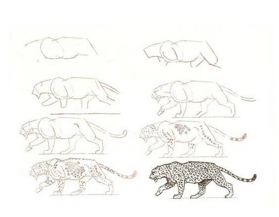 How to draw Cheetah idea (25)