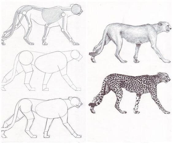 How to draw Cheetah idea (26)