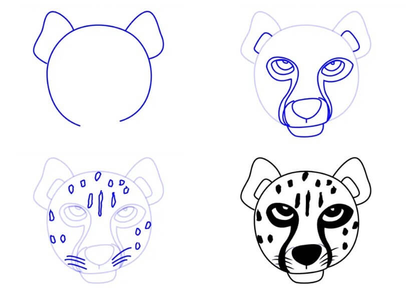 How to draw Cheetah idea (27)