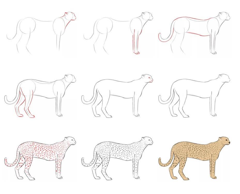 How to draw Cheetah idea (29)