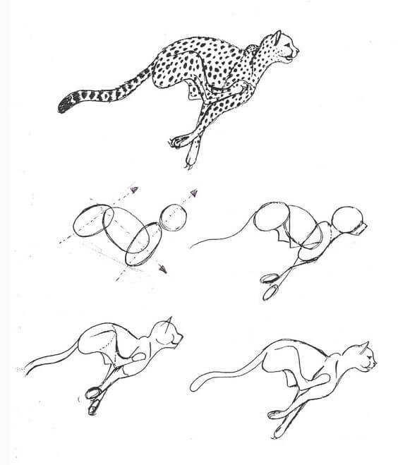 Cheetah idea (3) Drawing Ideas