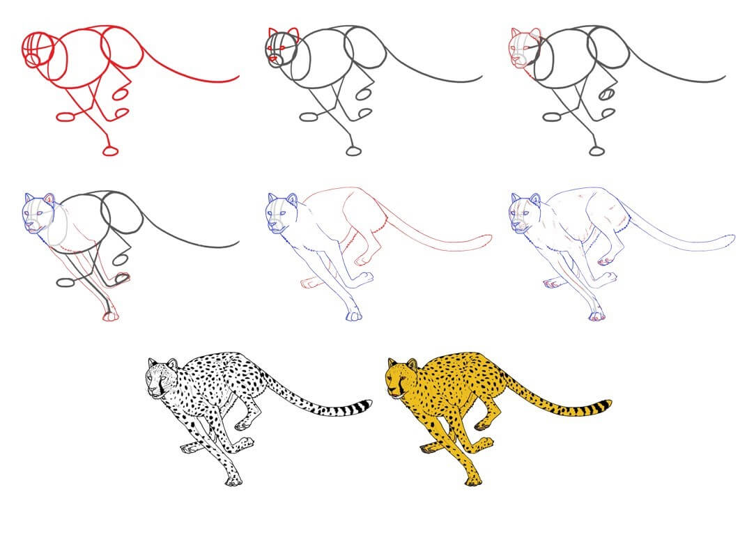 How to draw Cheetah idea (30)