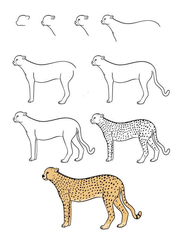 Cheetah idea (6) Drawing Ideas